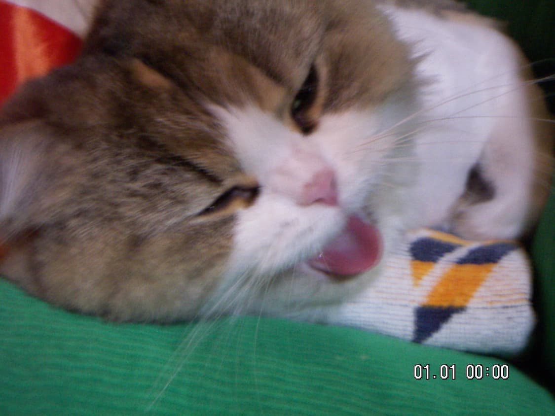 작례) Minolta 미놀타 디미지x31  DiMAGE X31  상품이미지8