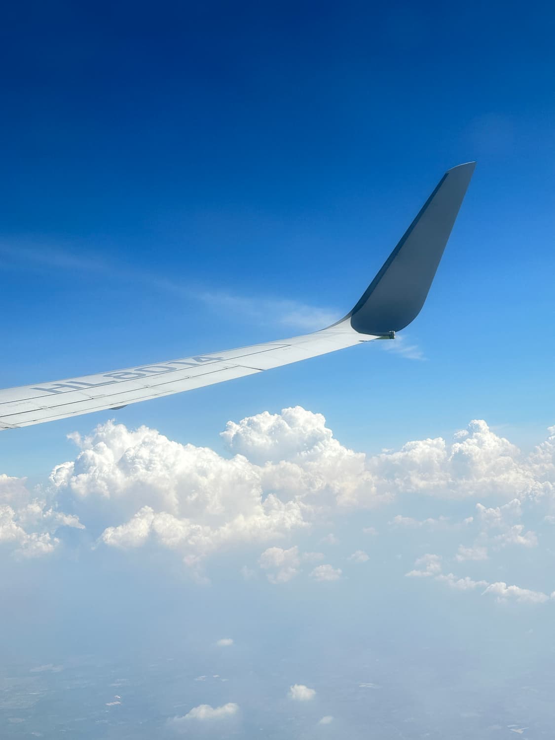 VAGUE WATCH 바그 워치 x 더 솔로이스트 시계 실버 상품이미지1