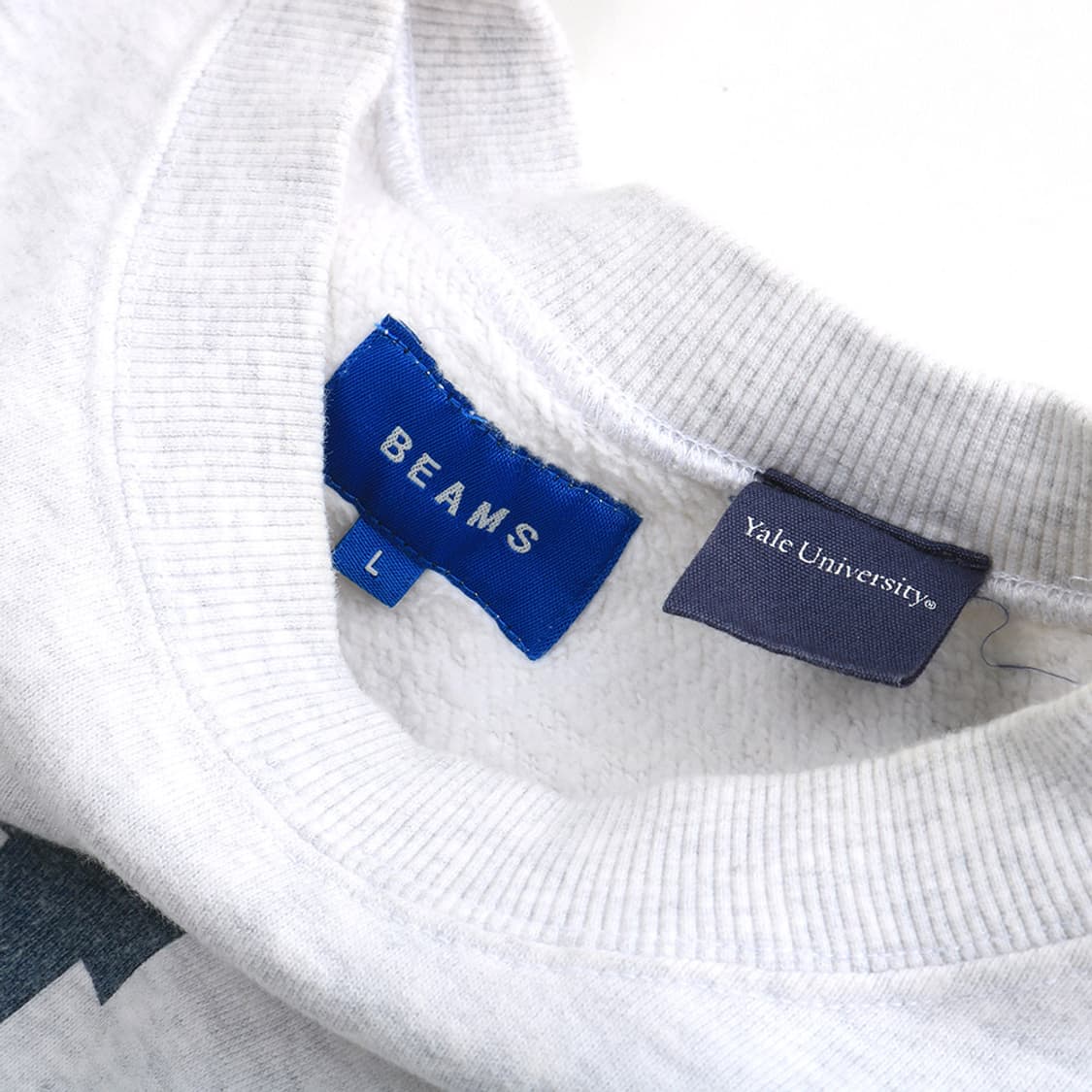 BEAMS x YALE 상품이미지4