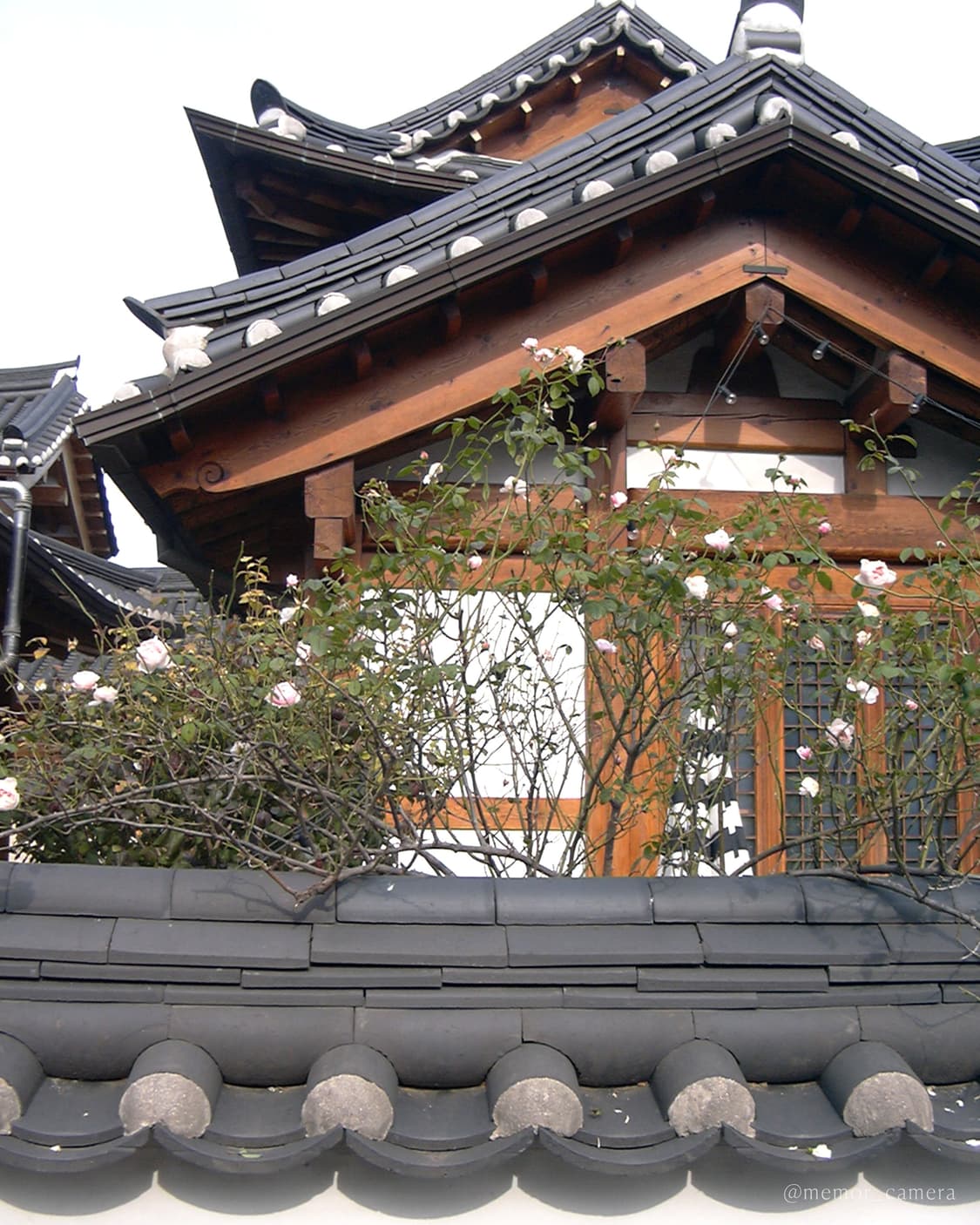 희귀/자연스러운필카느낌☁️Panasonic DMC-LC20 파나소닉 디카 상품이미지6