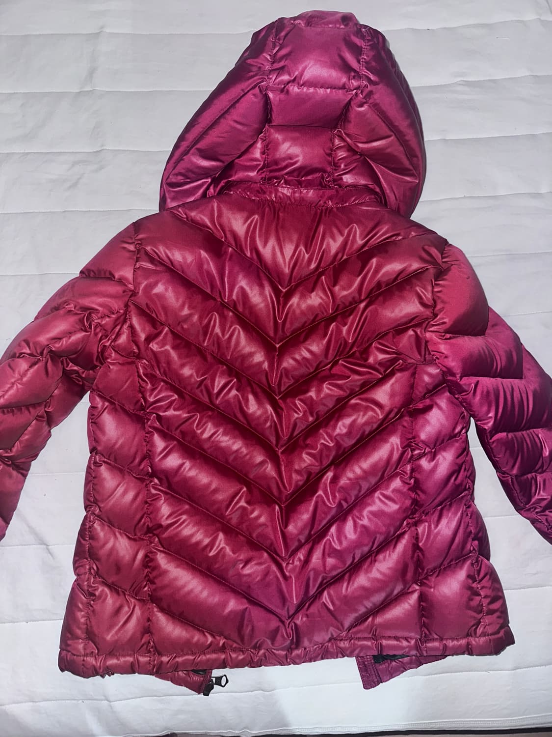 에비수 구스다운 상품이미지2