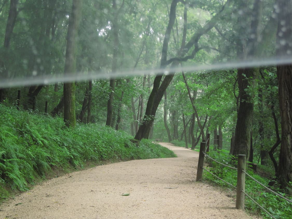 아이폰 6s 로골 64기가 판매해요 상품이미지4