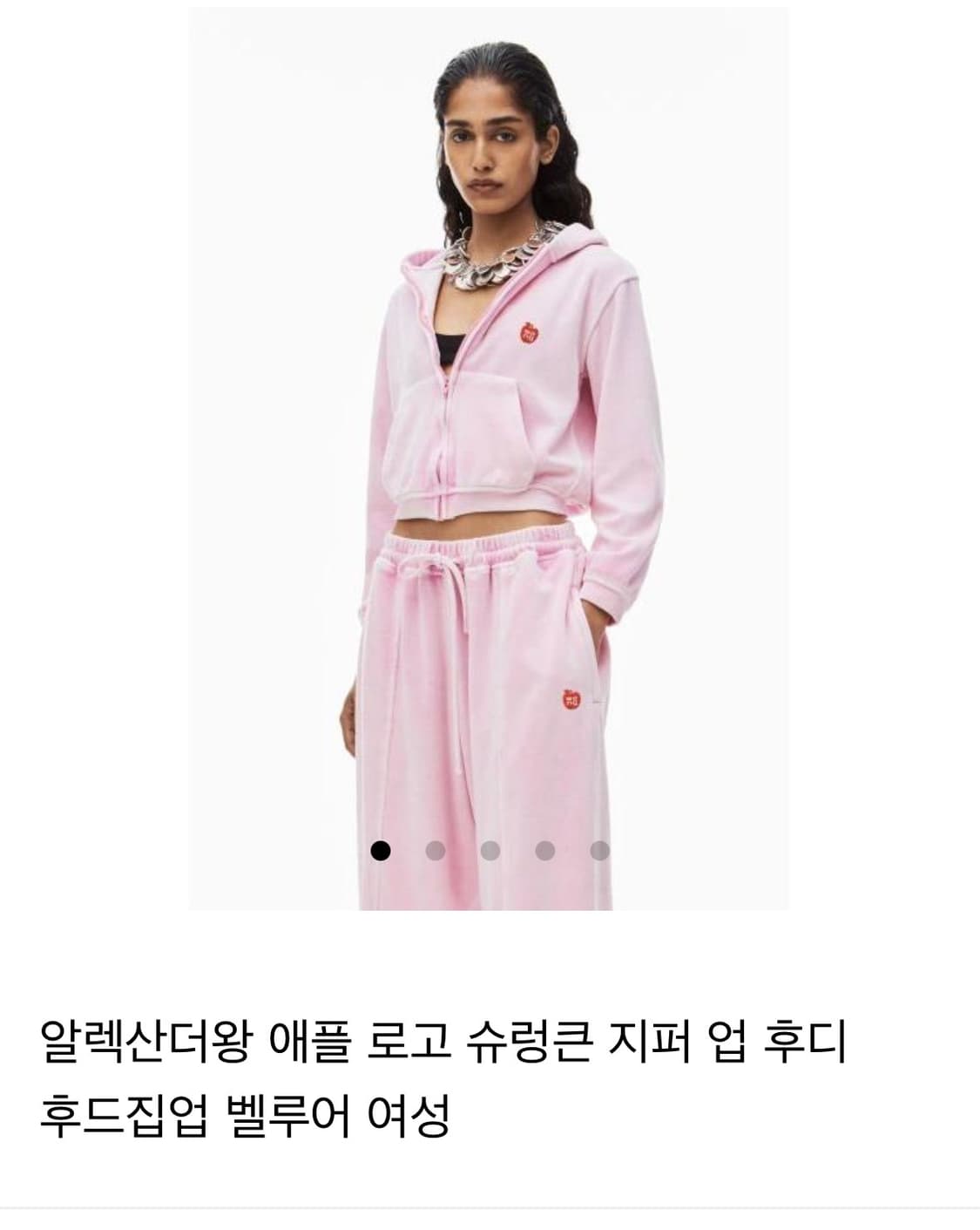 알렉산더왕 후드집업 M 사이즈 상품이미지1