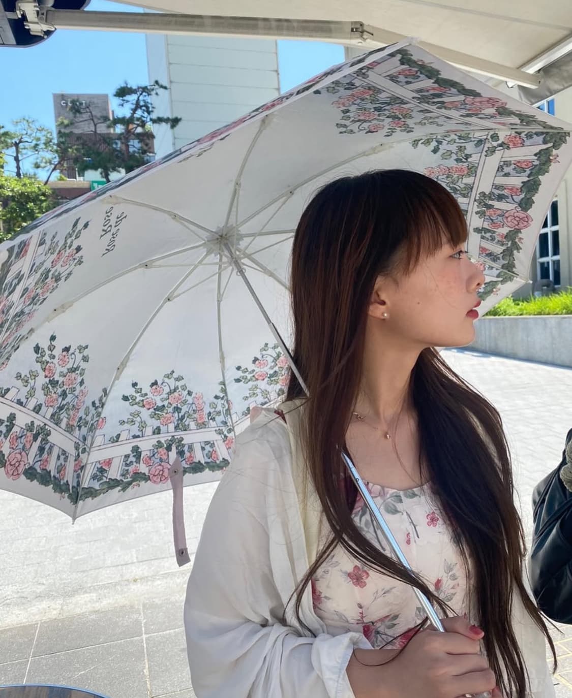 블루밍테일스튜디오 우양산 양산 로즈데로즈 상품이미지2
