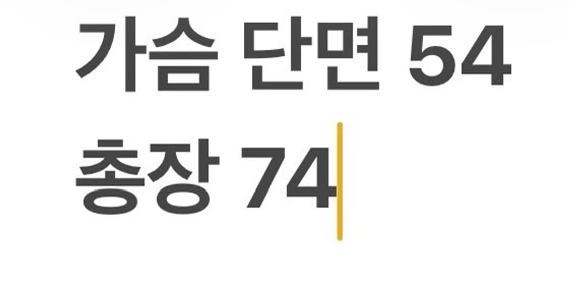 [정품/L] 스투시 맨투맨 검정 로고 b18 상품이미지7