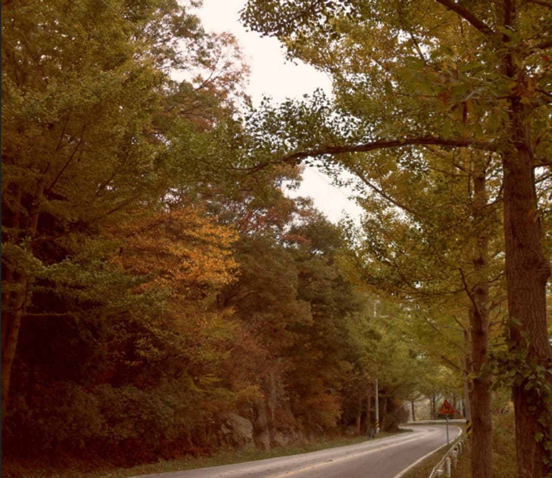 삼성 vluu pl51 한효주 디카 (빈티지 카메라) 상품이미지6