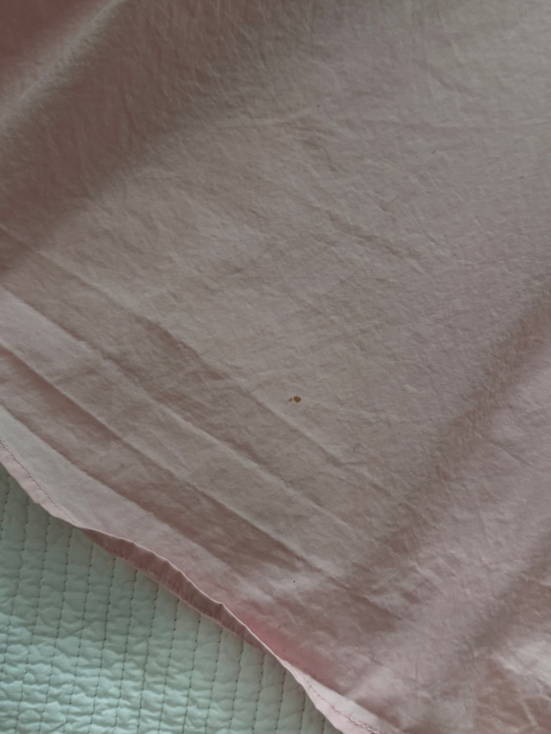 토마스모어 페이퍼셔츠 xs 스트로베리 크림 상품이미지5