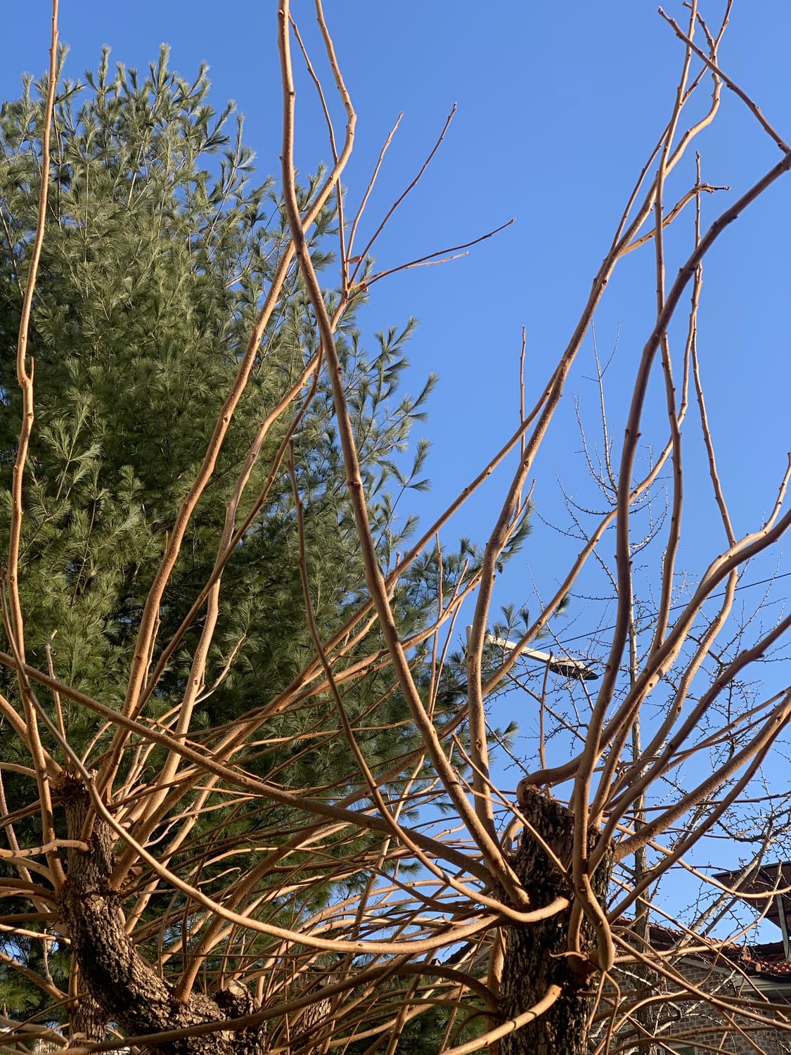 아이폰 XS 실버 64GB 상품이미지5