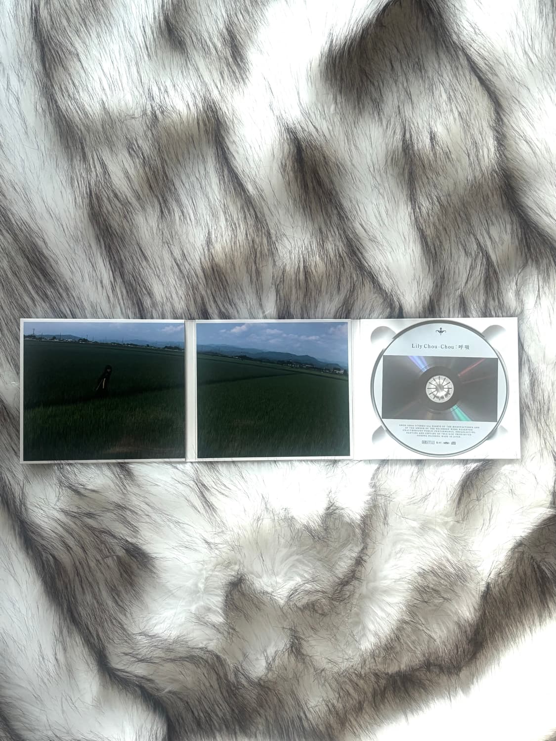 릴리슈슈의 모든것 2008 리마스터링 디지팩 CD 한정반 상품이미지3