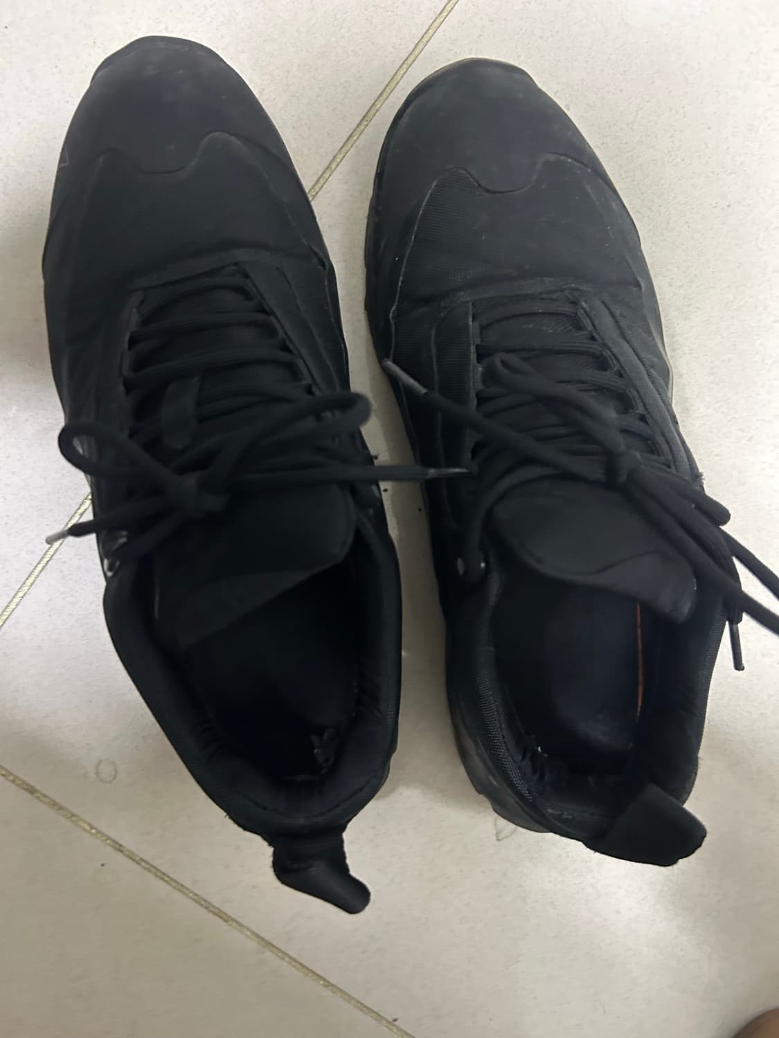 로아 카타리나 41 상품이미지6