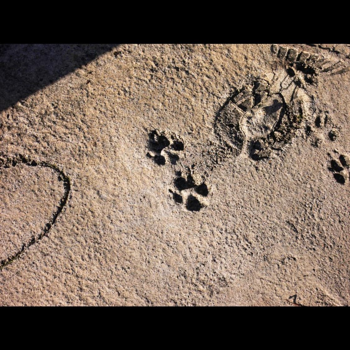 파나소닉 루믹스 DMC-FX7 미니멀 매트🖤빈티지 디카 디지털카메라 상품이미지2