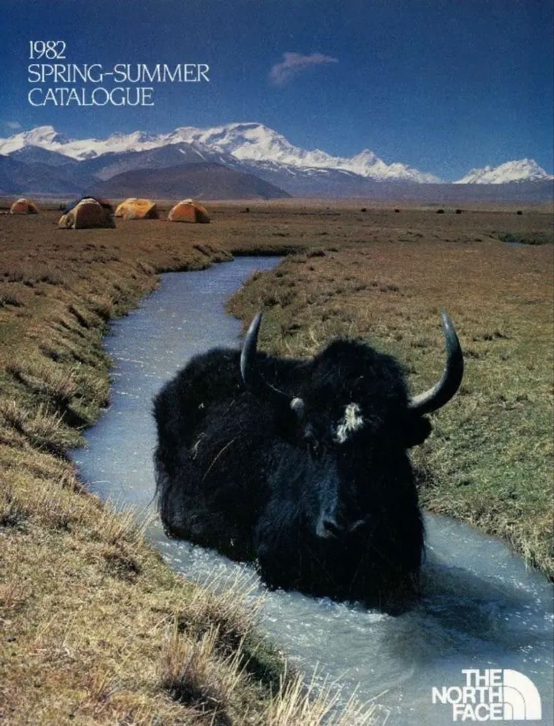 00s TNF 노스페이스 미주판 Y2K 플리스 비니 (캐나다산) 상품이미지7