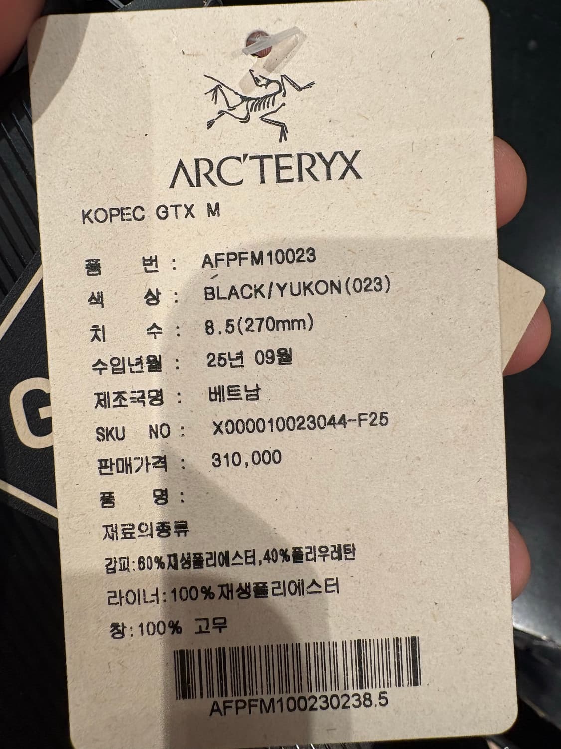 아크테릭스 코펙 GTX 남성 270 상품이미지4
