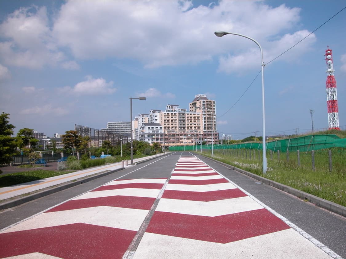 니콘 쿨픽스 Nikon COOLPIX P5100 블랙 상품이미지4