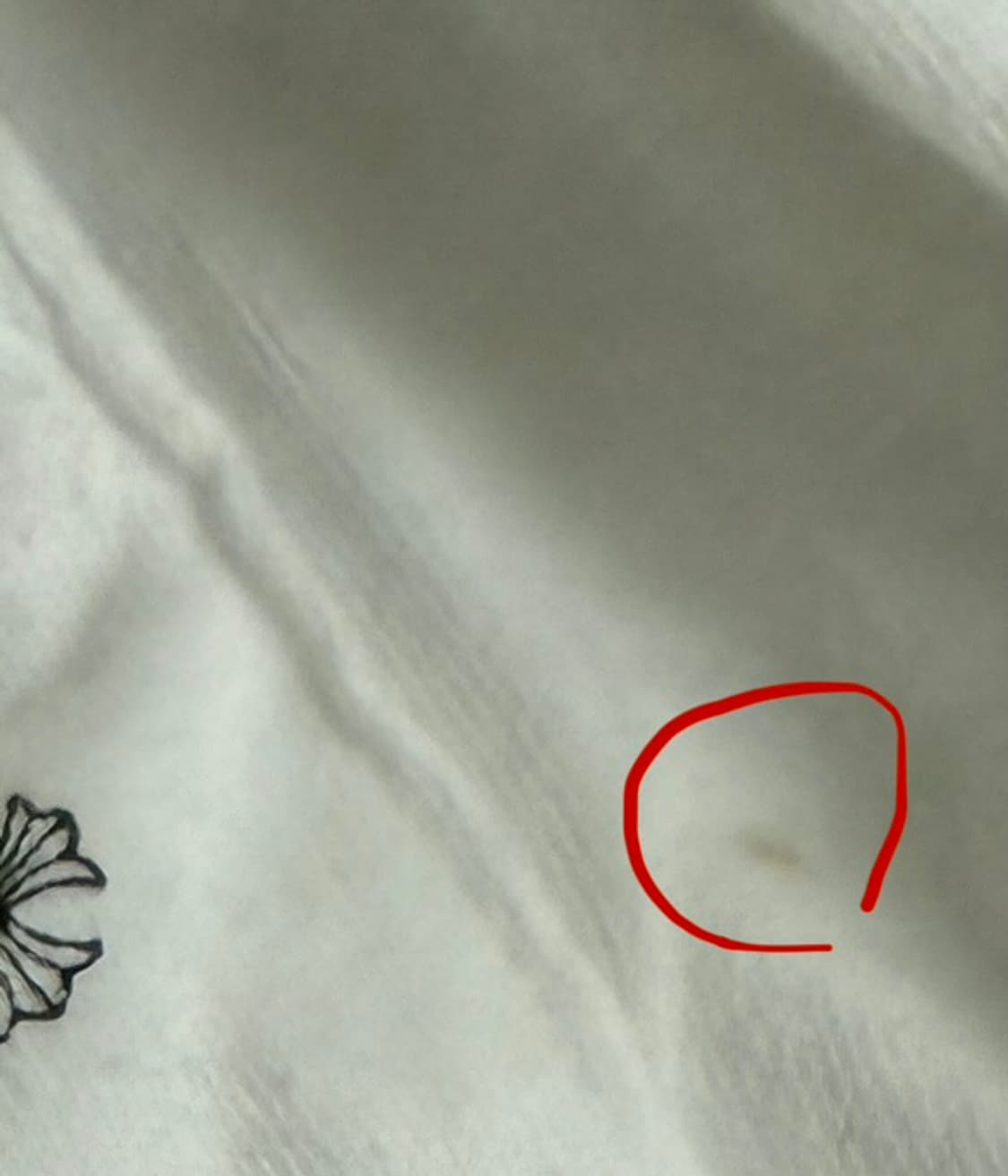 크롬하츠 반팔티 팔아요 정품 상품이미지7