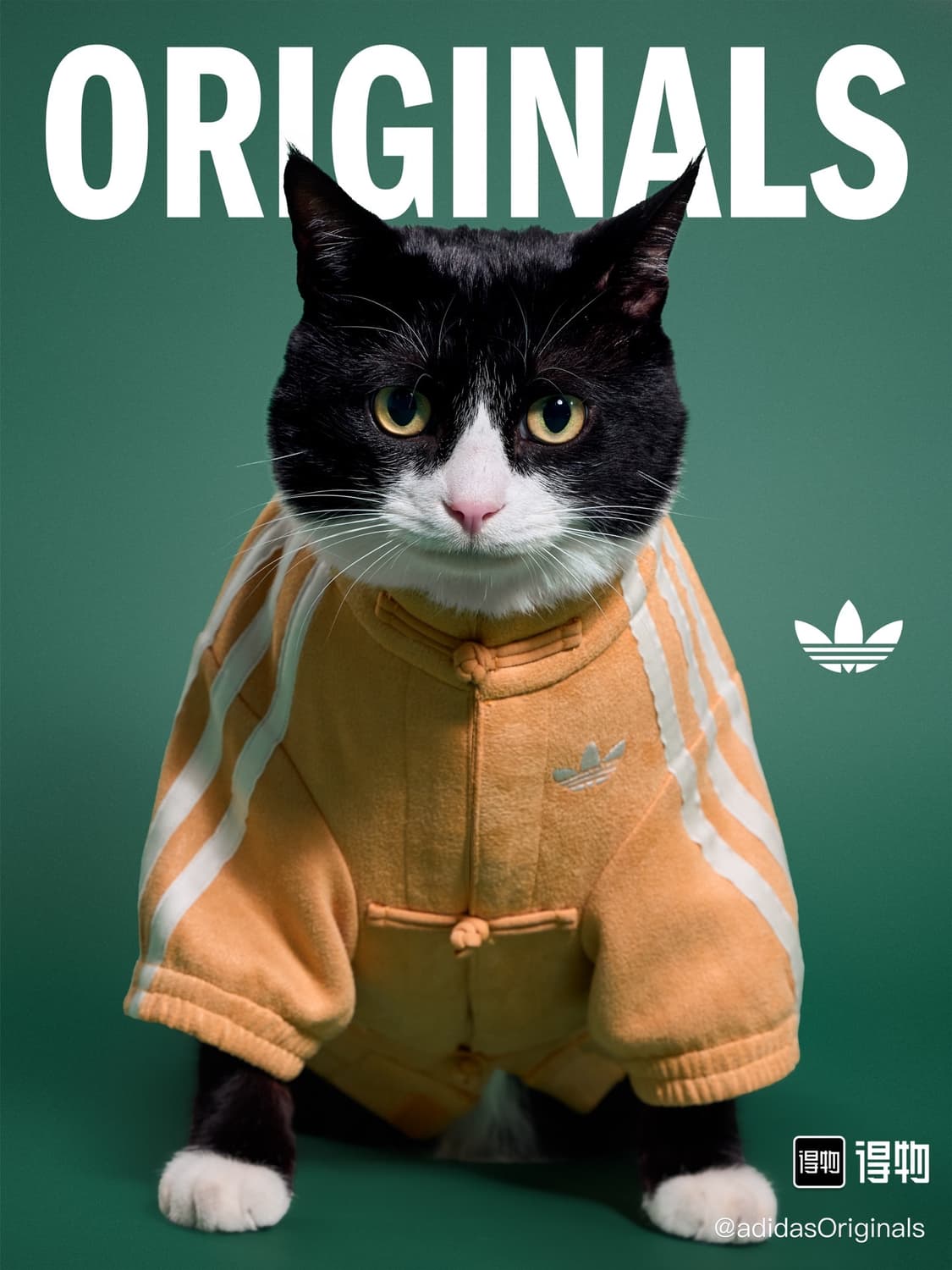 아디다스 강아지 고양이 옷 중티다스 상품이미지1