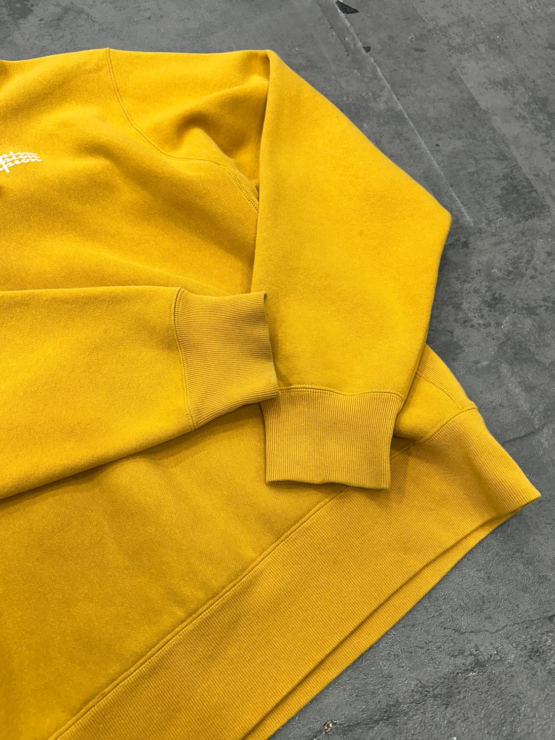 챔피온 빅사이즈 리버스위브 후드티  상품이미지2