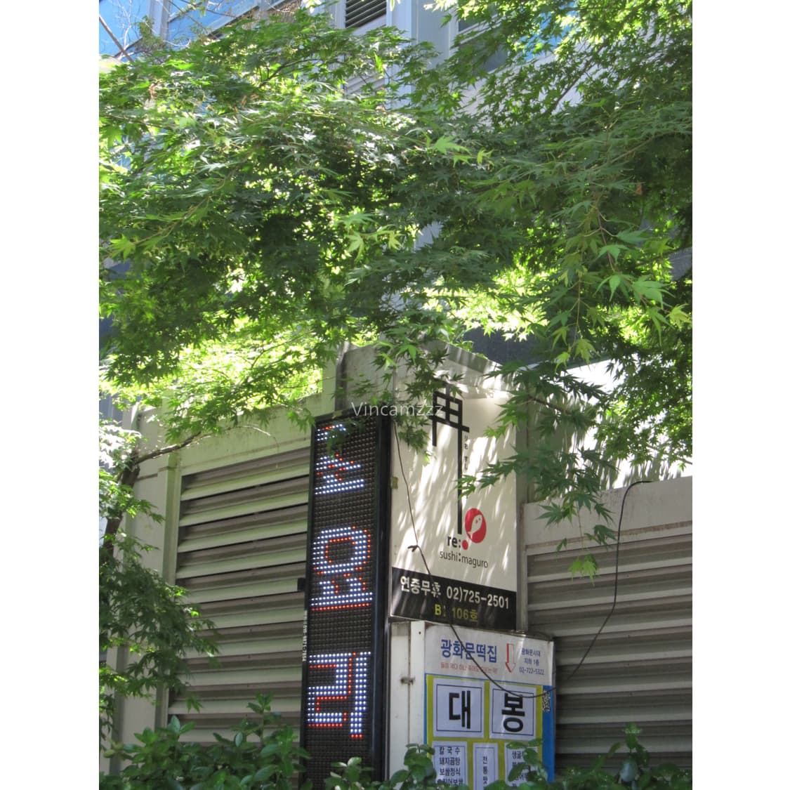 Canon 캐논 익서스 IXUS 870 IS (sd880)디지털 카메라 상품이미지6