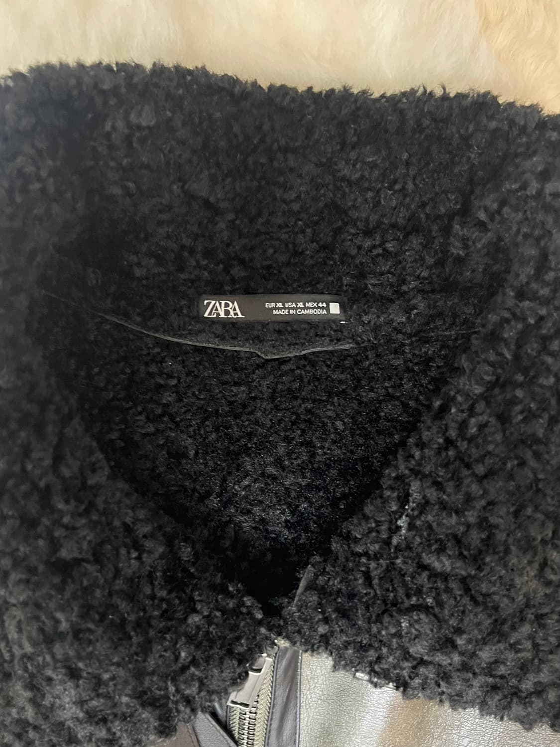 자라무스타 XL 상품이미지2