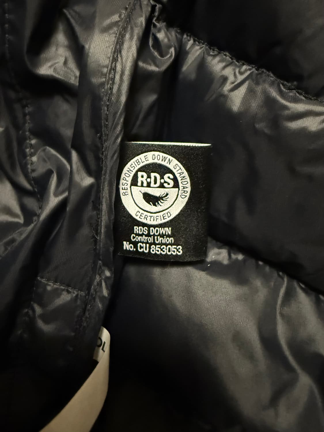 노스페이스 볼트 RDS 다운 패딩 상품이미지5
