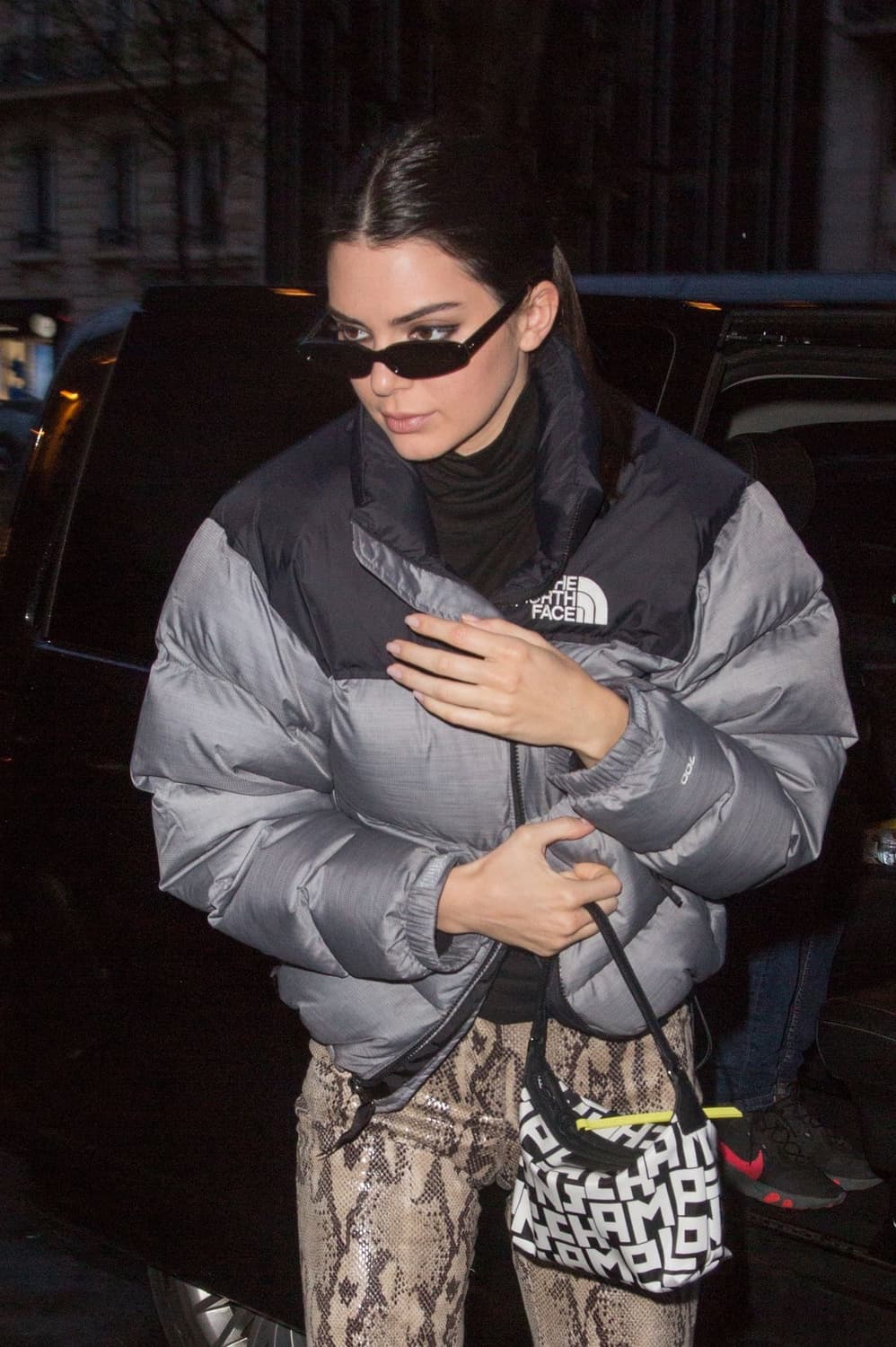 노스페이스 THE NORTH FACE 700 패딩 베스트조끼 85(XS) 상품이미지6