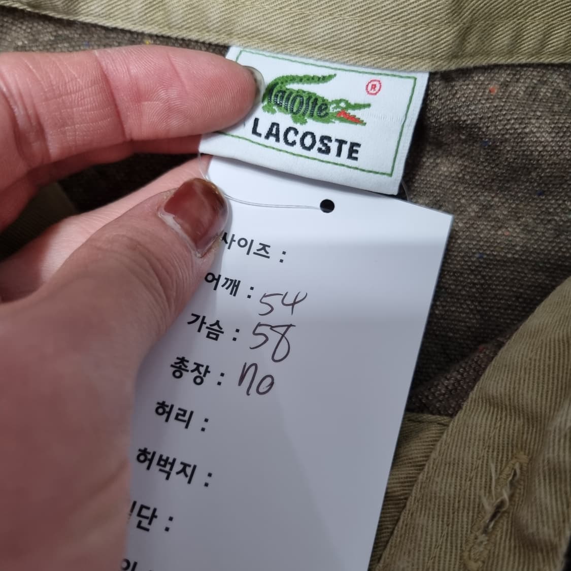 라코스테 PK티셔츠 상품이미지6