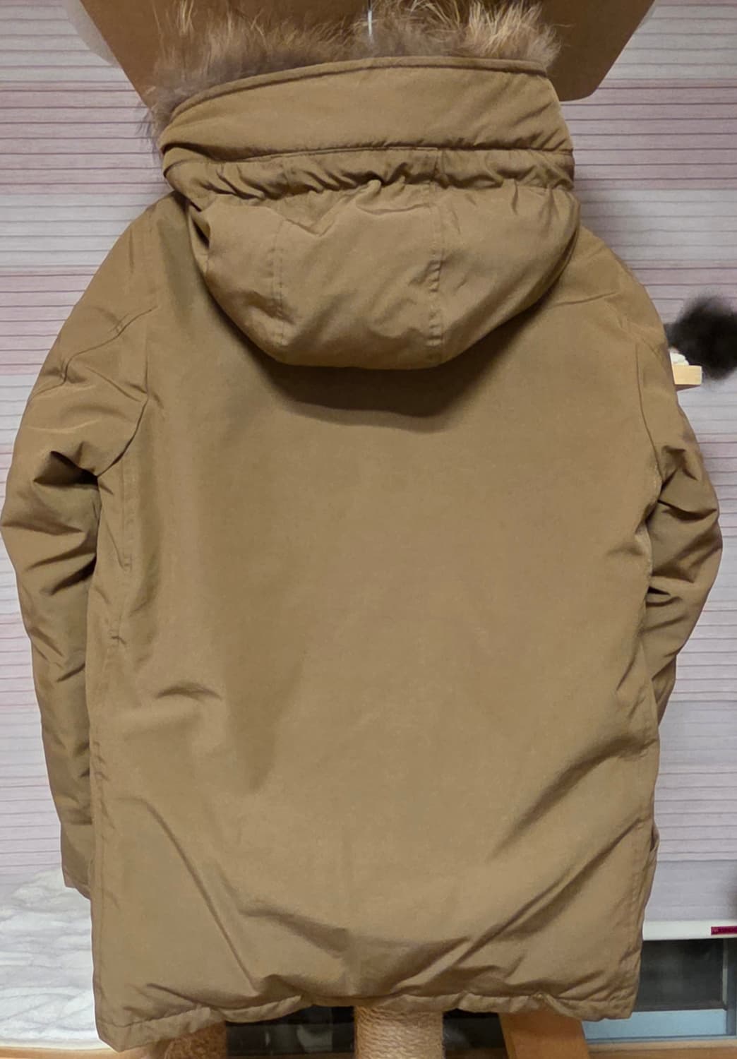 단톤36 상품이미지2