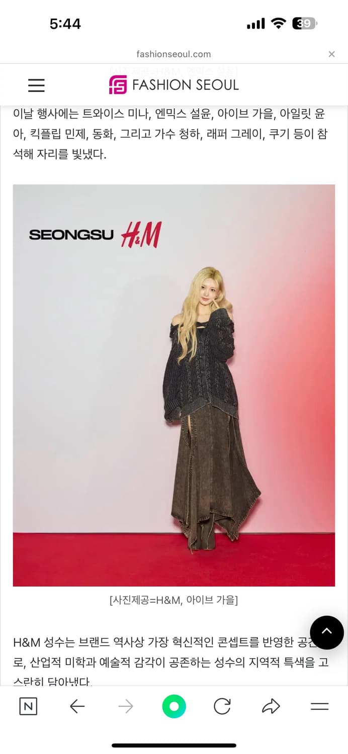 글랜마틴스 h&m 콜라보 치마 42 상품이미지3