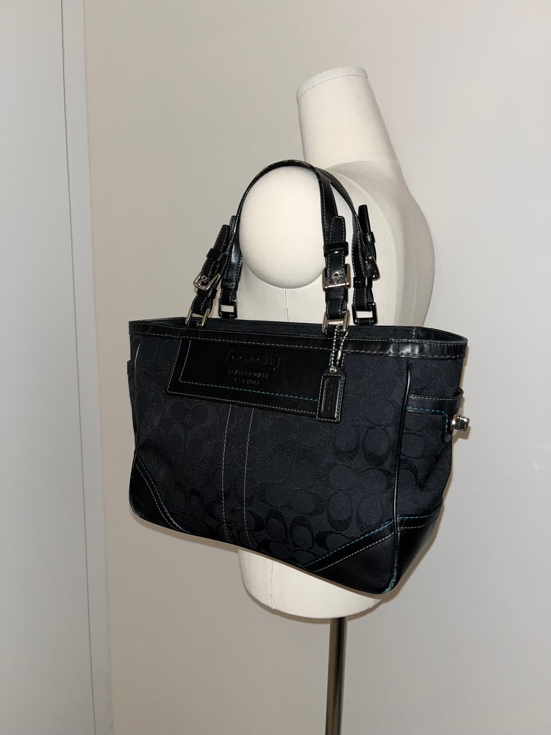 📦 Coach baby blue stitch Shoulder Bag 상품이미지2