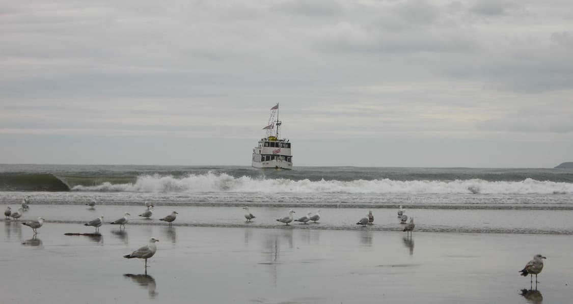 Canon ixus 900ti / ixy1000 캐논 익서스 디카 카메라 상품이미지3