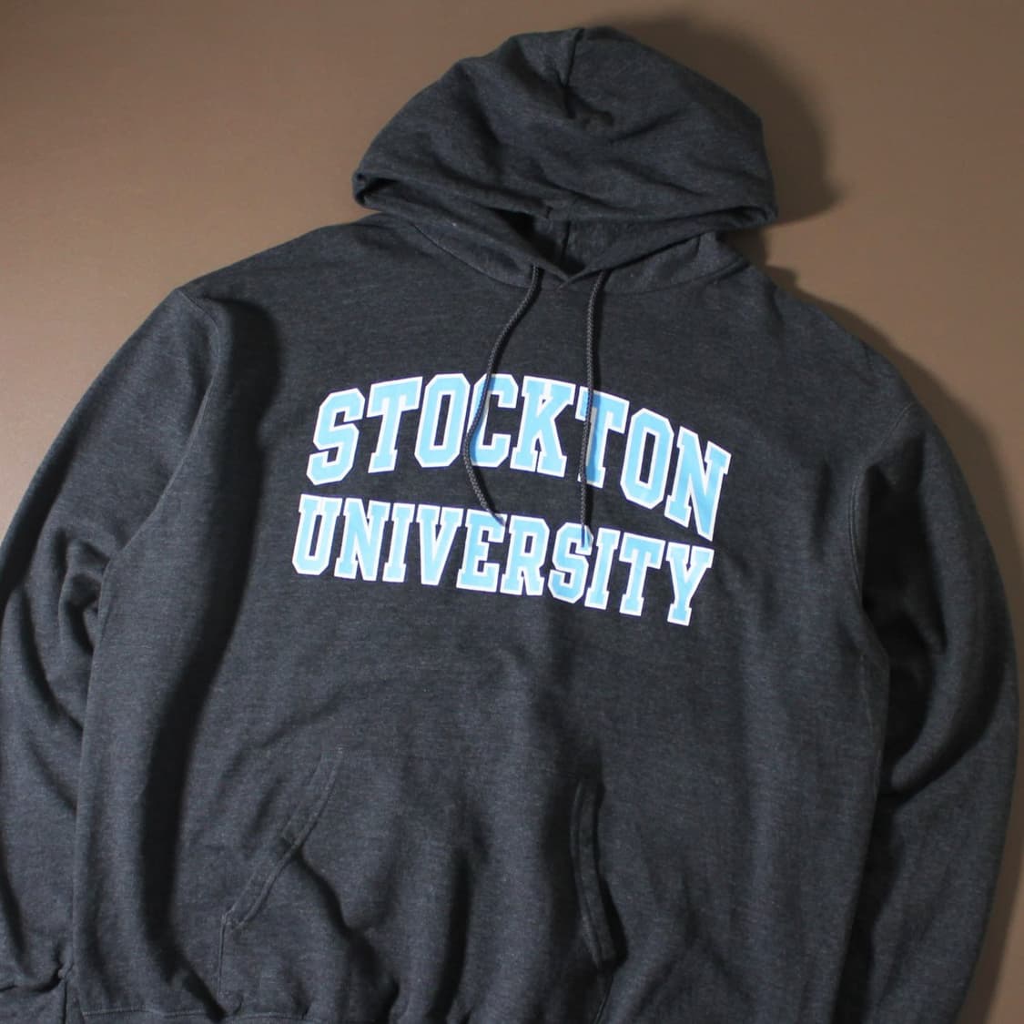 Champion 챔피온 프린팅 기모 후드티 상품이미지2