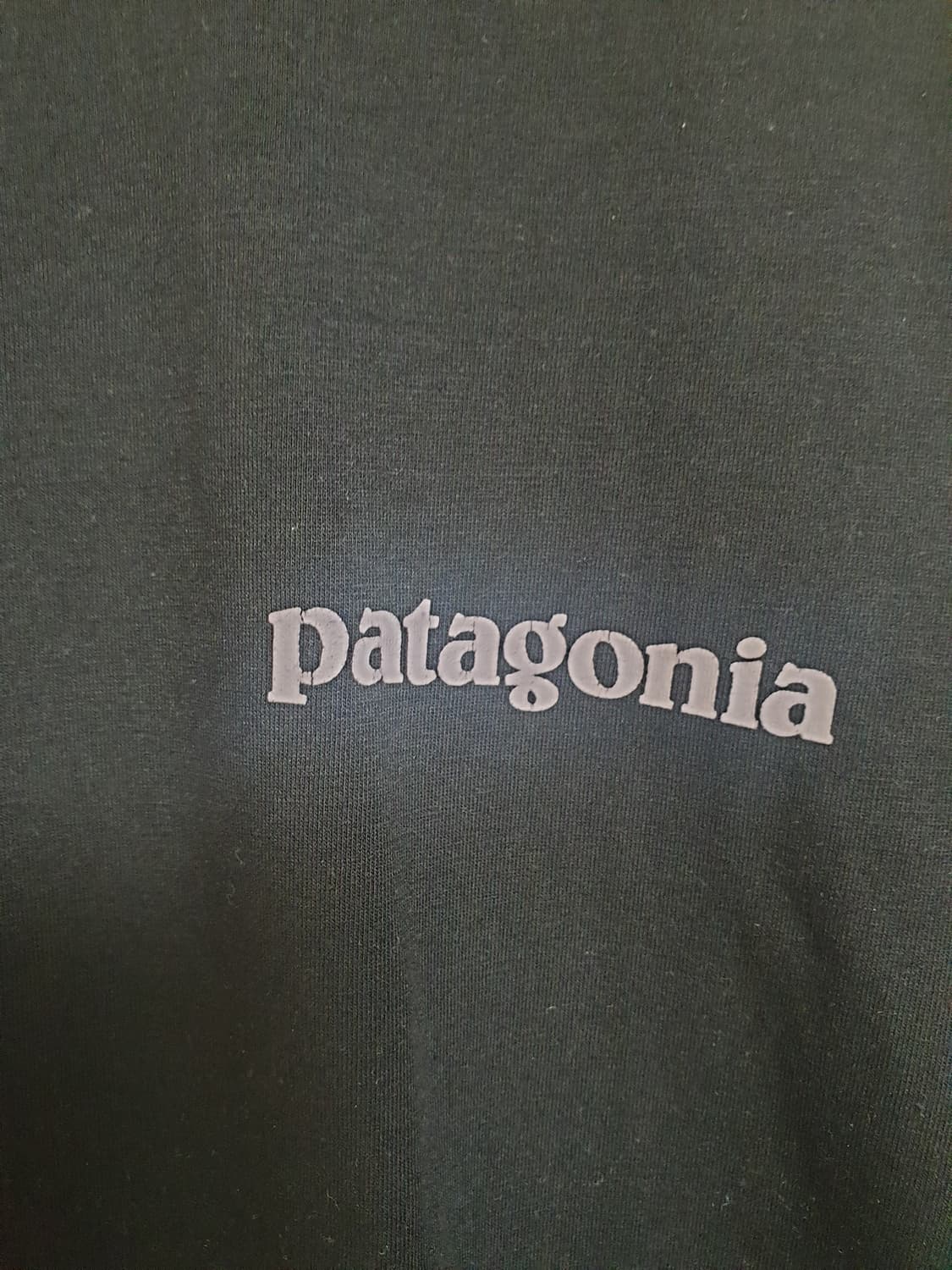 [여성] 파타고니아 블랙 반팔티 L 상품이미지3