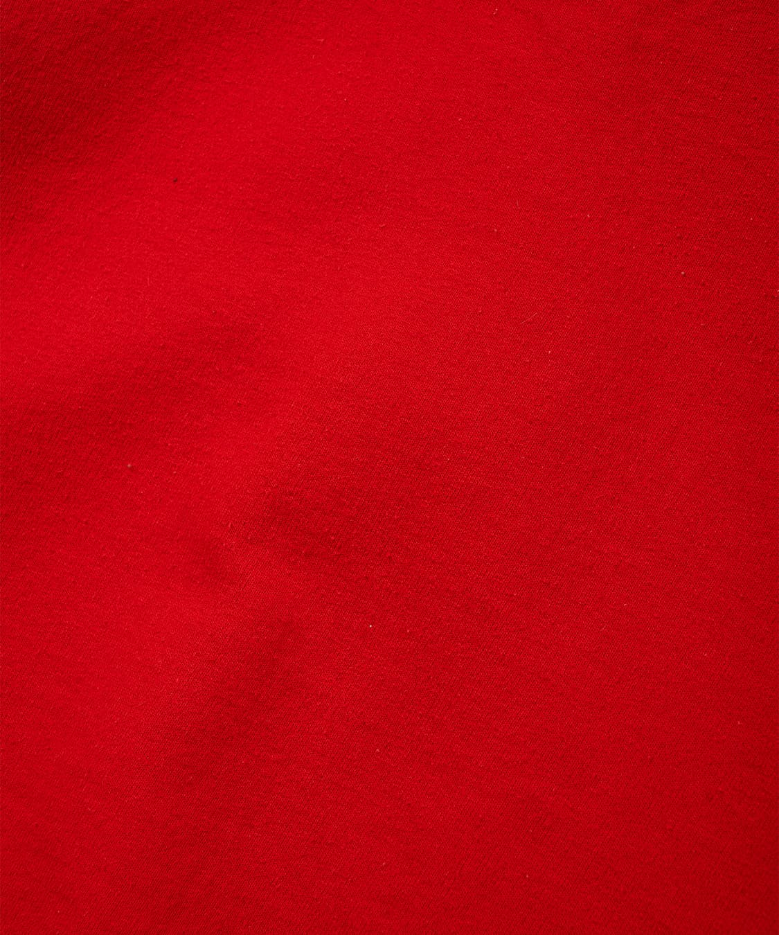 (95) 챔피언 아치로고 레드 후드 상품이미지6