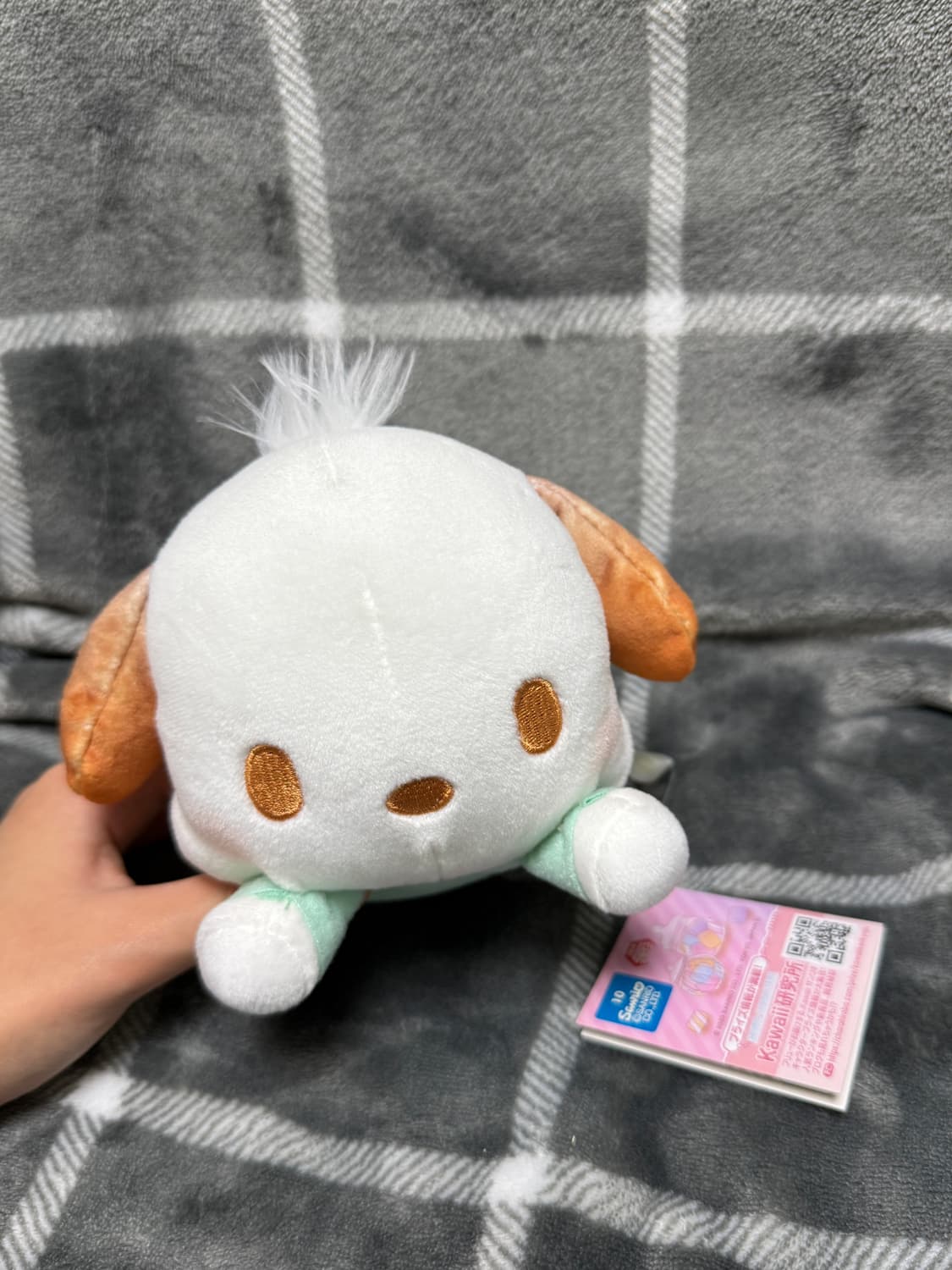 산리오 포차코 마시멜로우 시리즈 누운 인형 상품이미지1