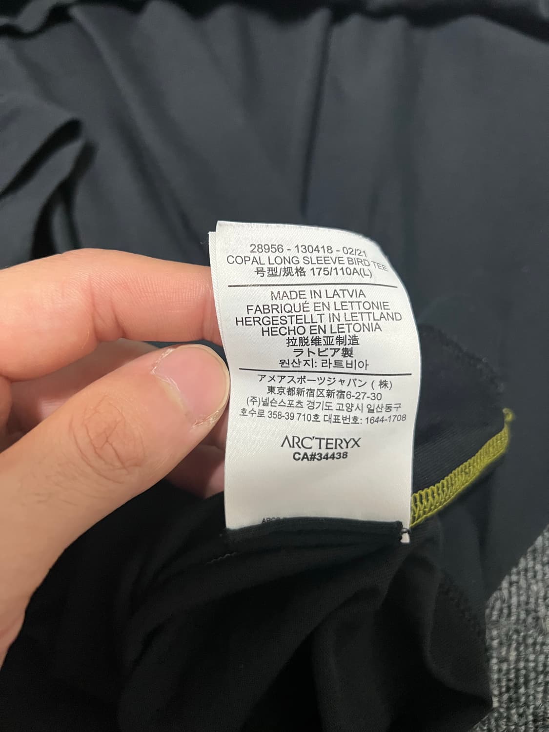 [L] 아크테릭스 시스템 A 코팔 롱슬리브 버드 티셔츠 테라리움 상품이미지8