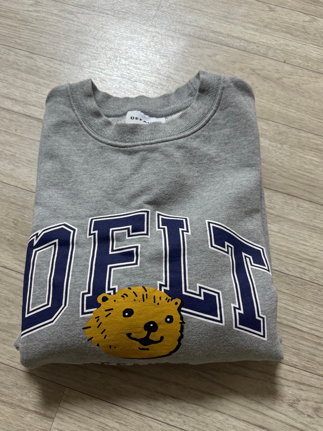 DFLT 맨투맨 상품이미지2