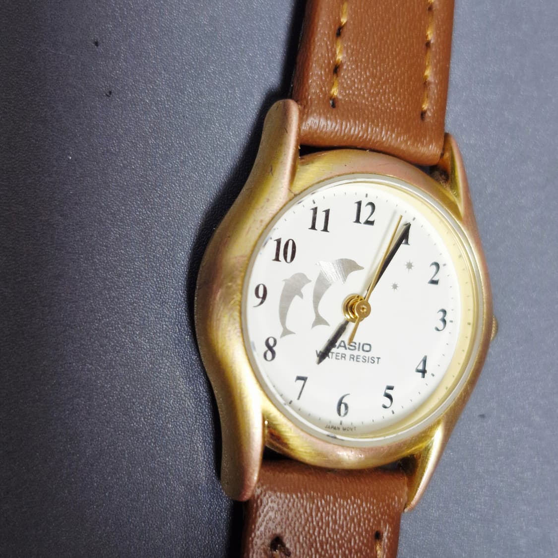 카시오 여성 돌고래 시계 상품이미지2