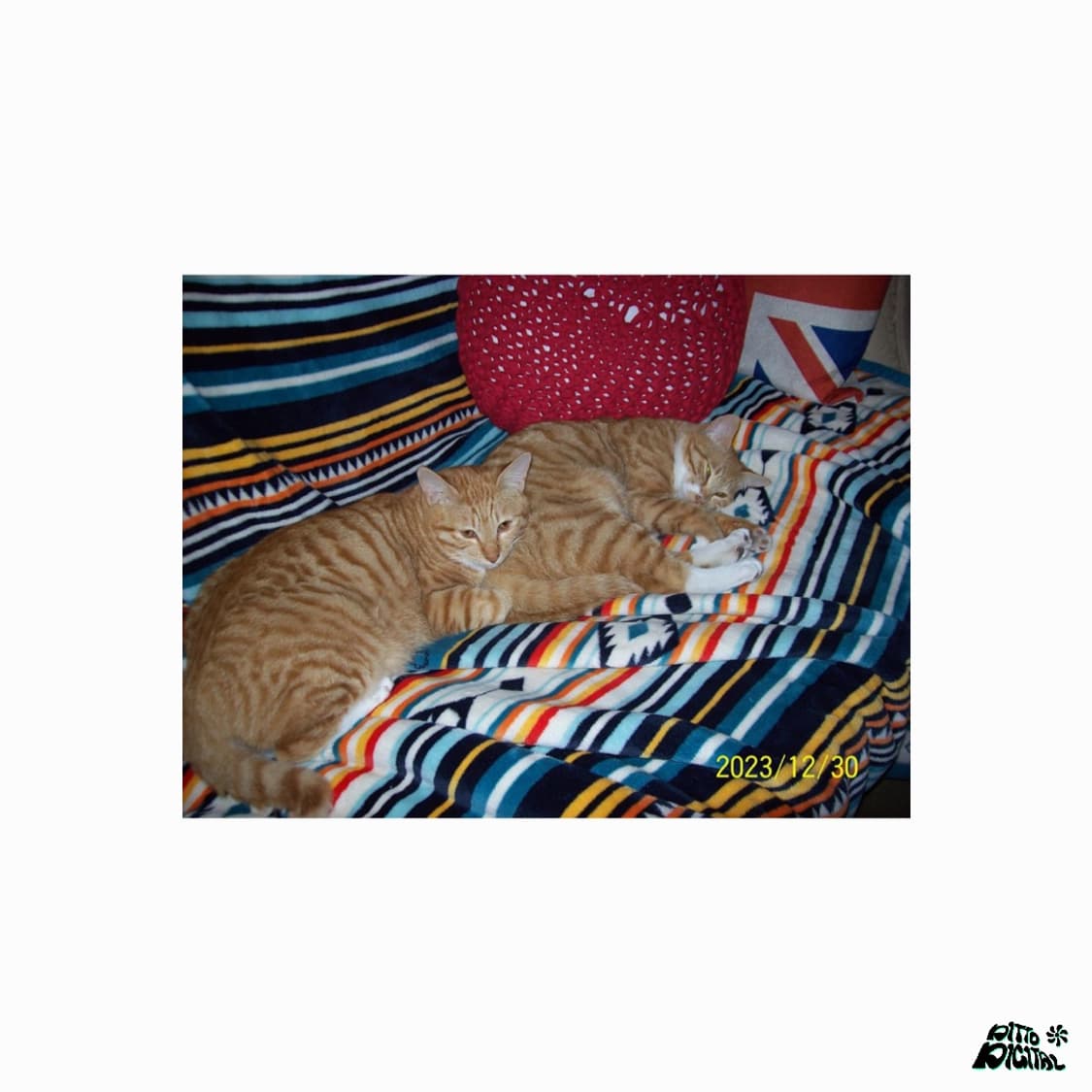 Kodak Easyshare C613(White) 상품이미지7