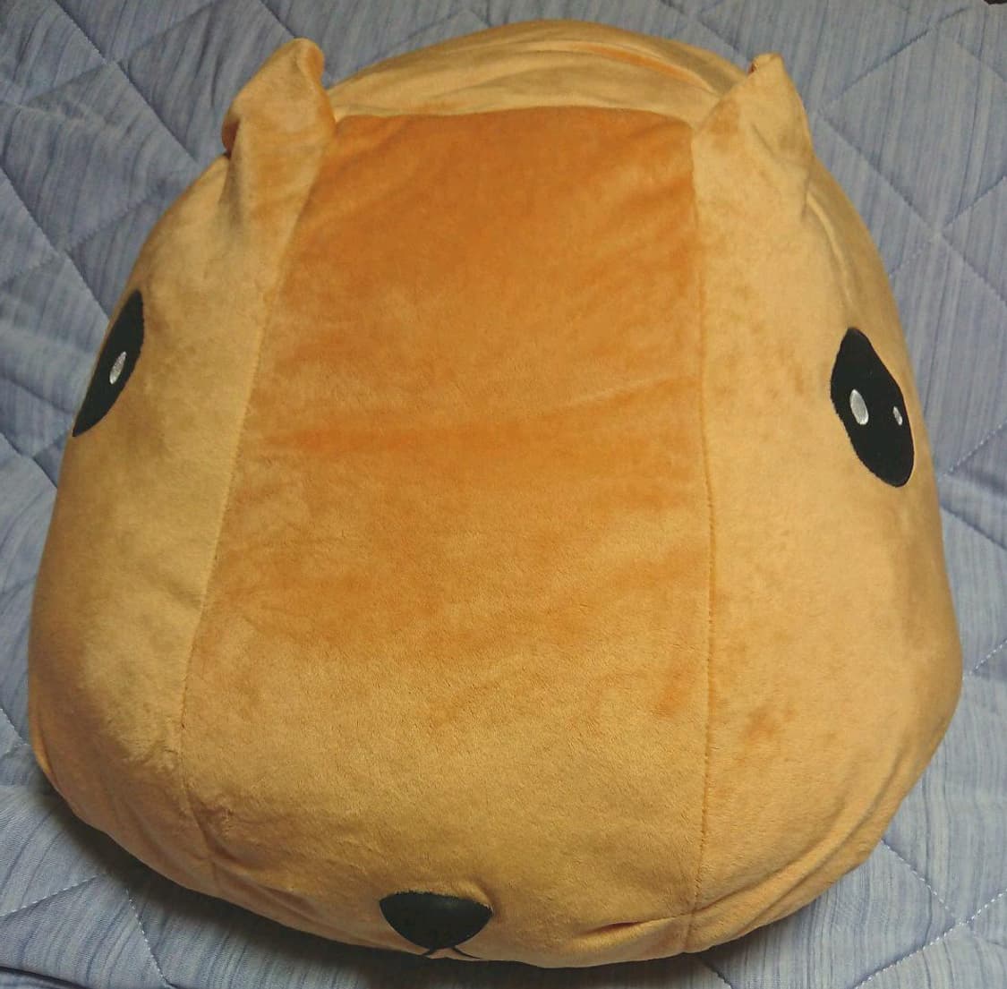 카피바라상 60cm 대형 인형 정품 상품이미지8