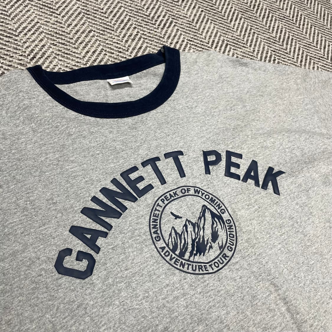 챔피온 티셔츠 상품이미지3