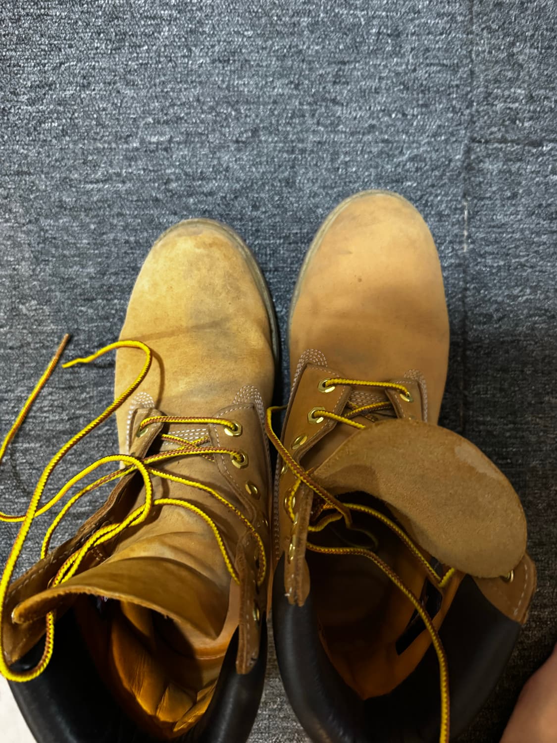 팀버랜드 6인치 프리미엄 워터프루프 부츠 상품이미지2