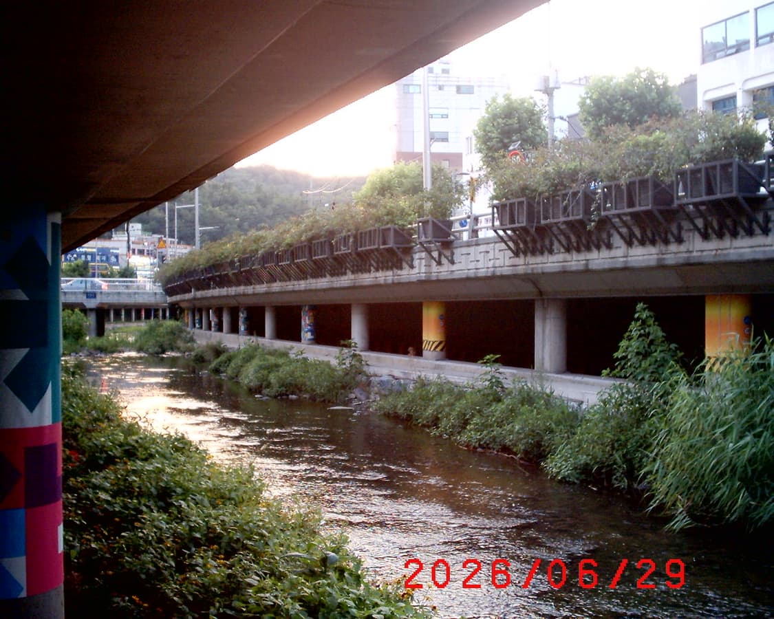 삼성 케녹스 디지맥스101 디카 상품이미지9