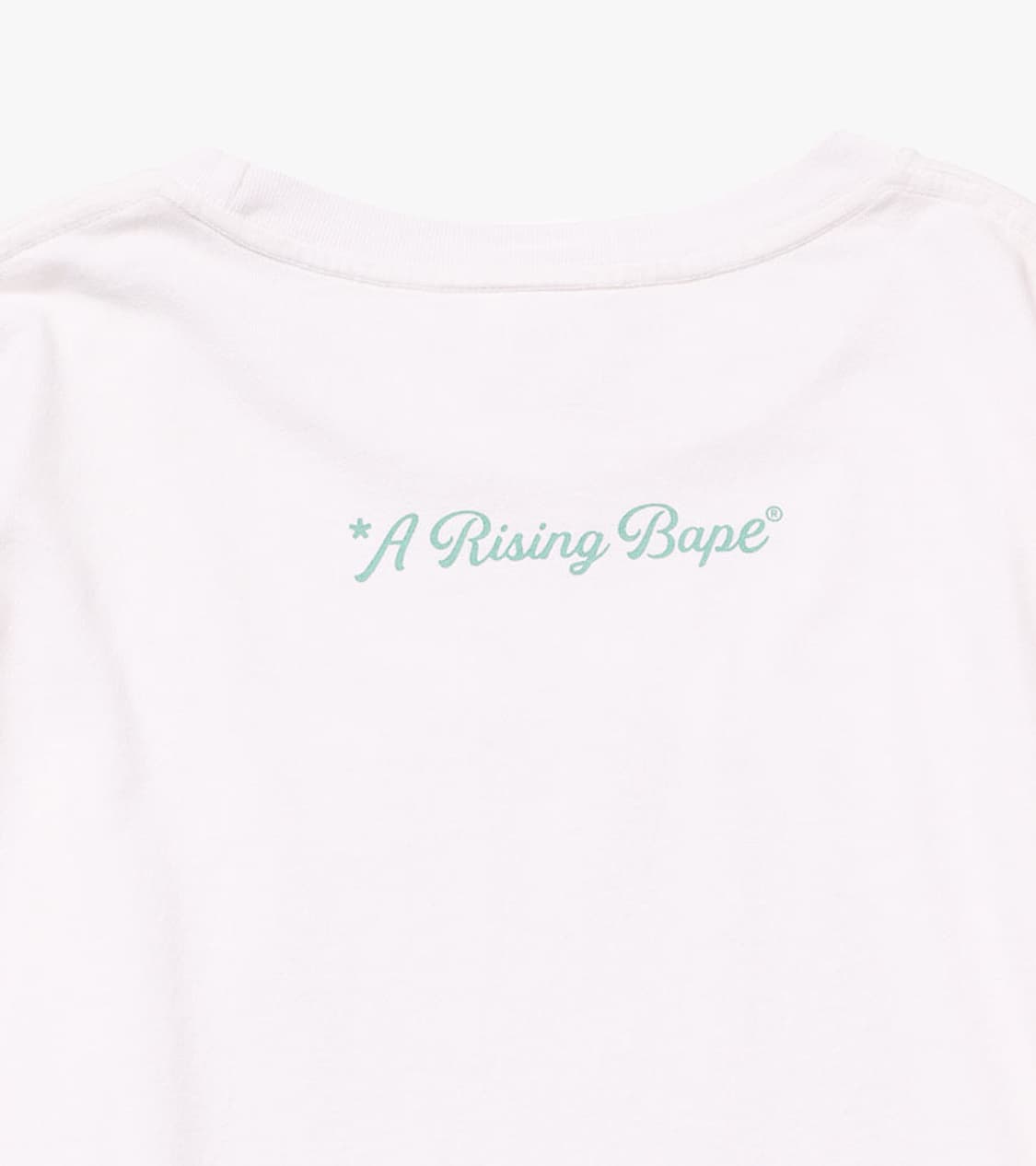 BAPE - A RISING BAPE PHOTO T SHIRT 상품이미지10