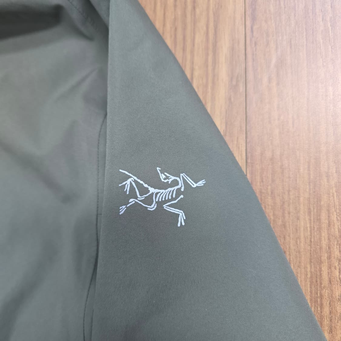 (L) 아크테릭스 솔라노 포리지 후드 자켓 상품이미지2