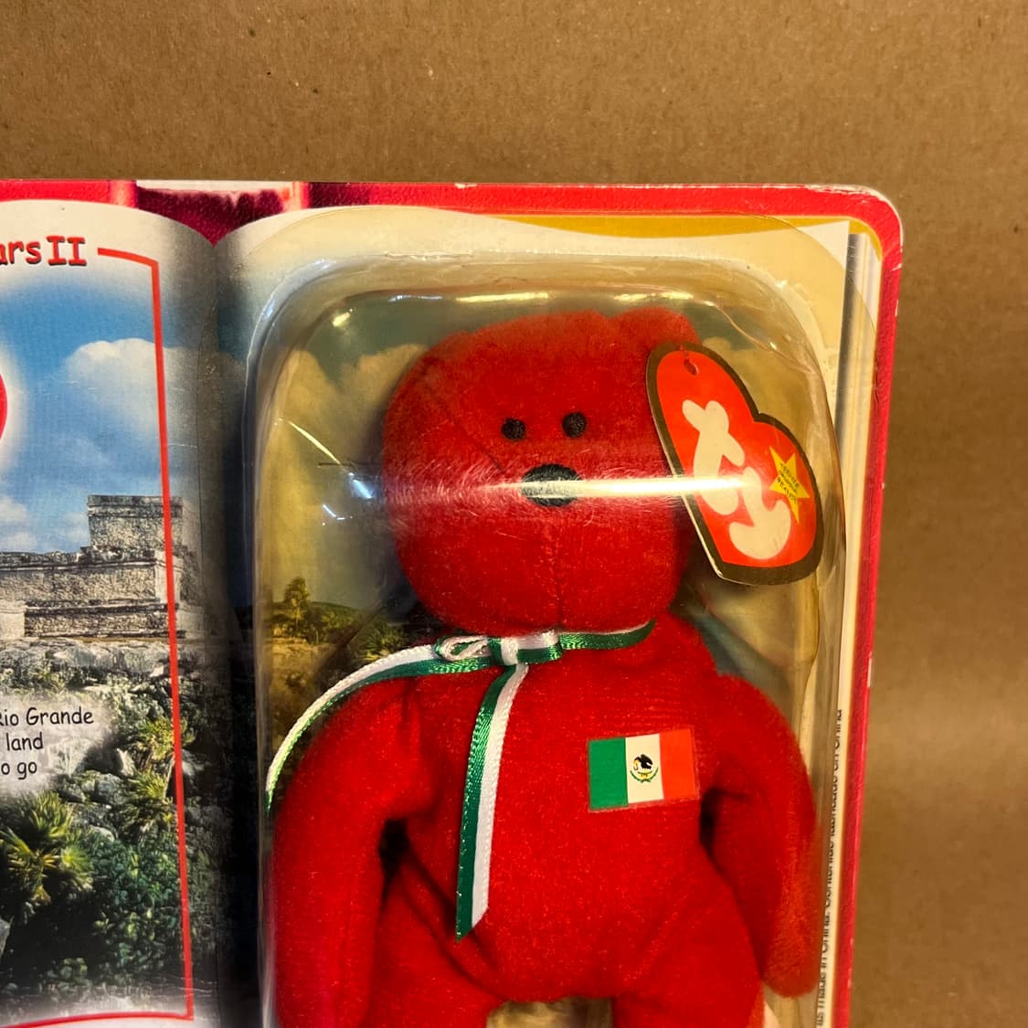 Ty베어 Osito the Bear 상품이미지5