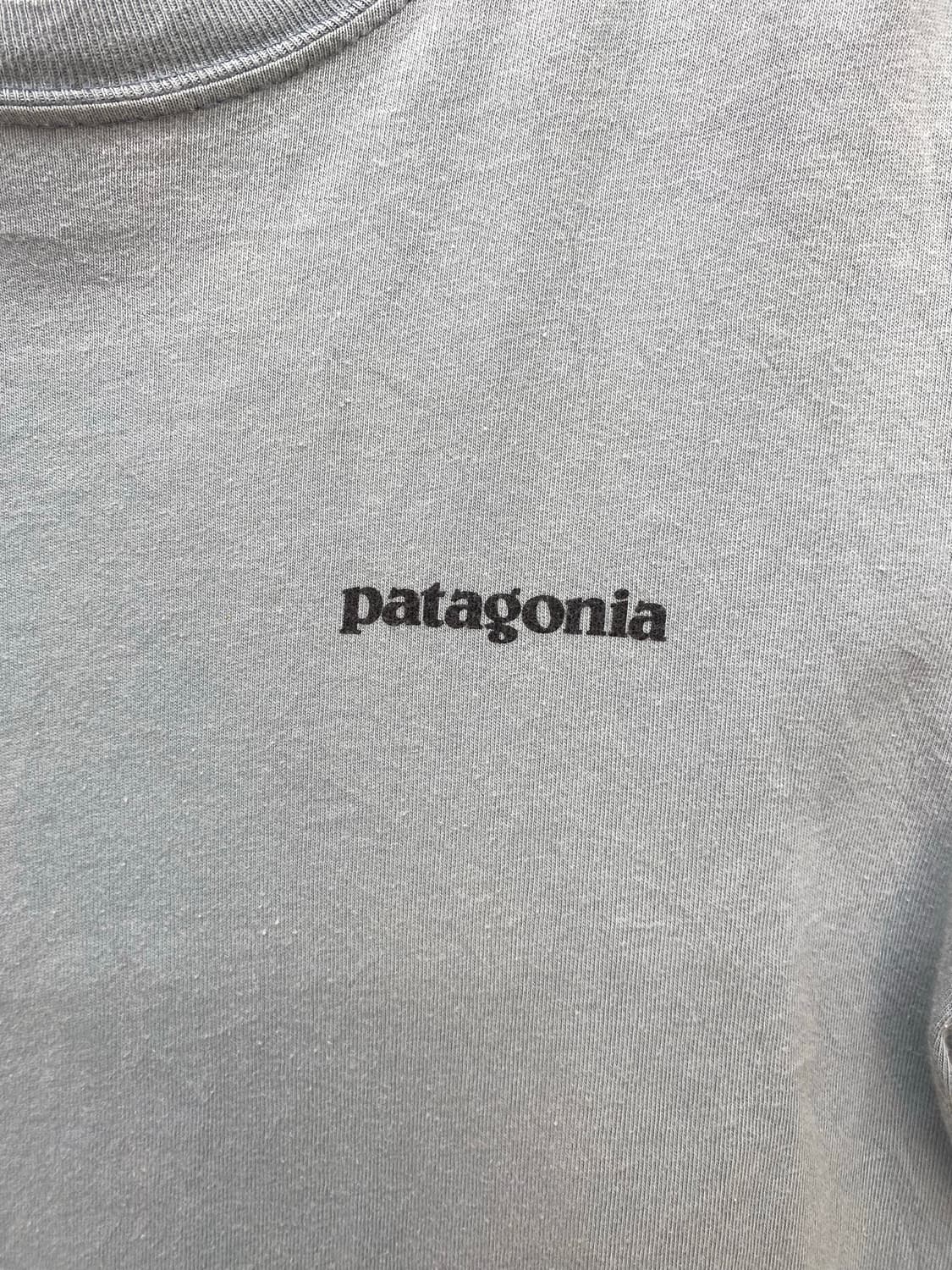 Patagonia gray tee 상품이미지2