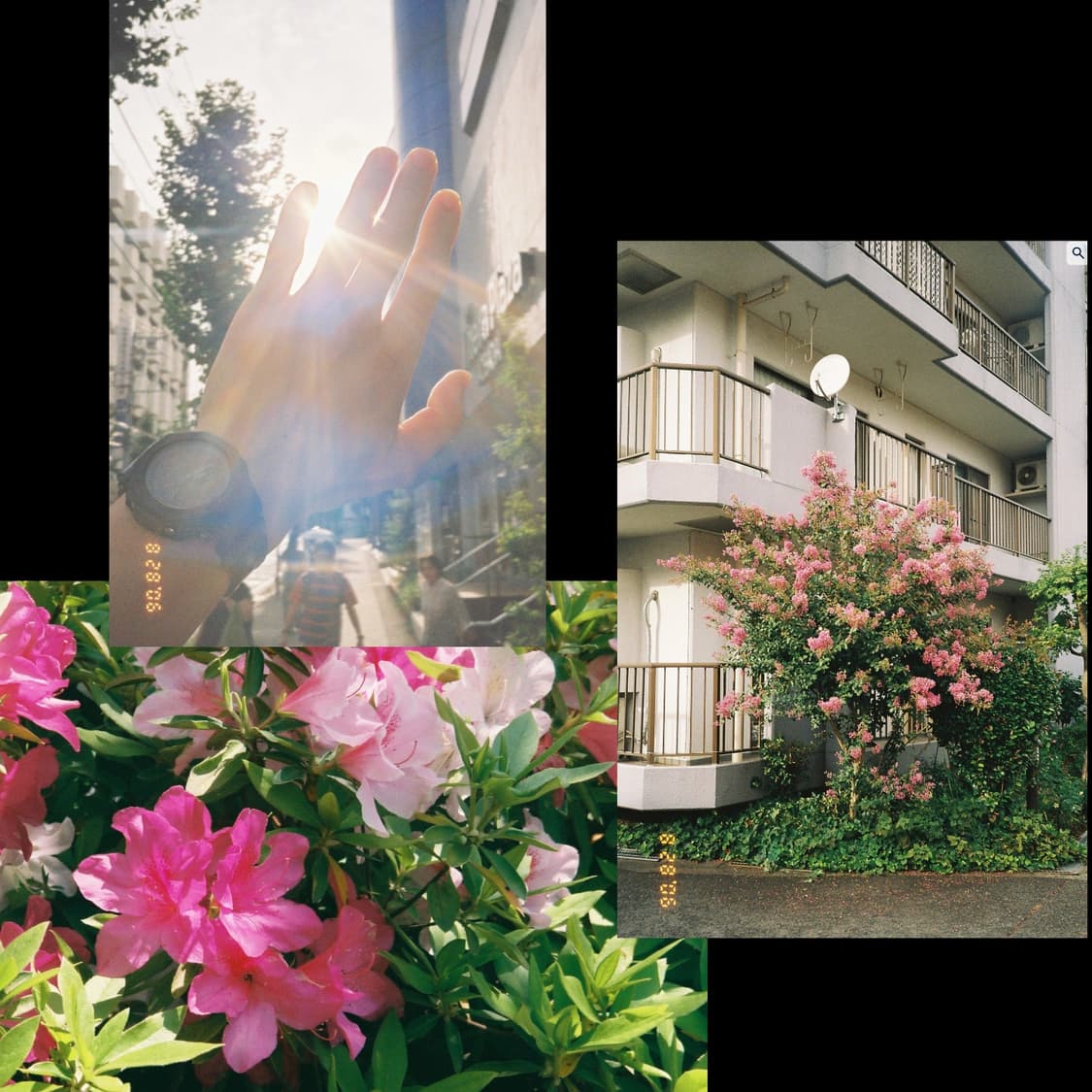 코니카 빅미니201 (고질병 모두수리) 상품이미지4