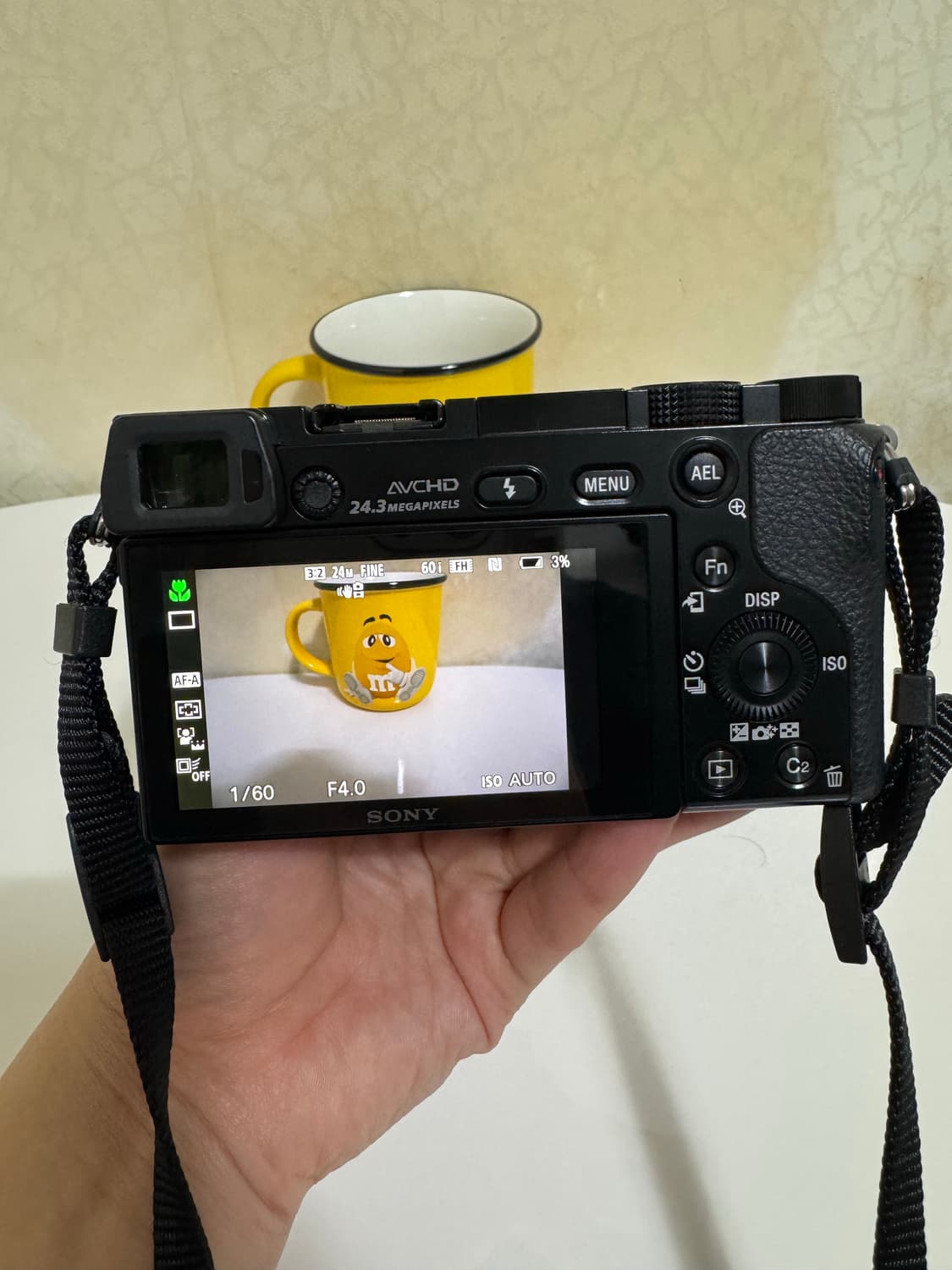 [새상품급 풀박스] 소니 미러리스 A6000 상품이미지3