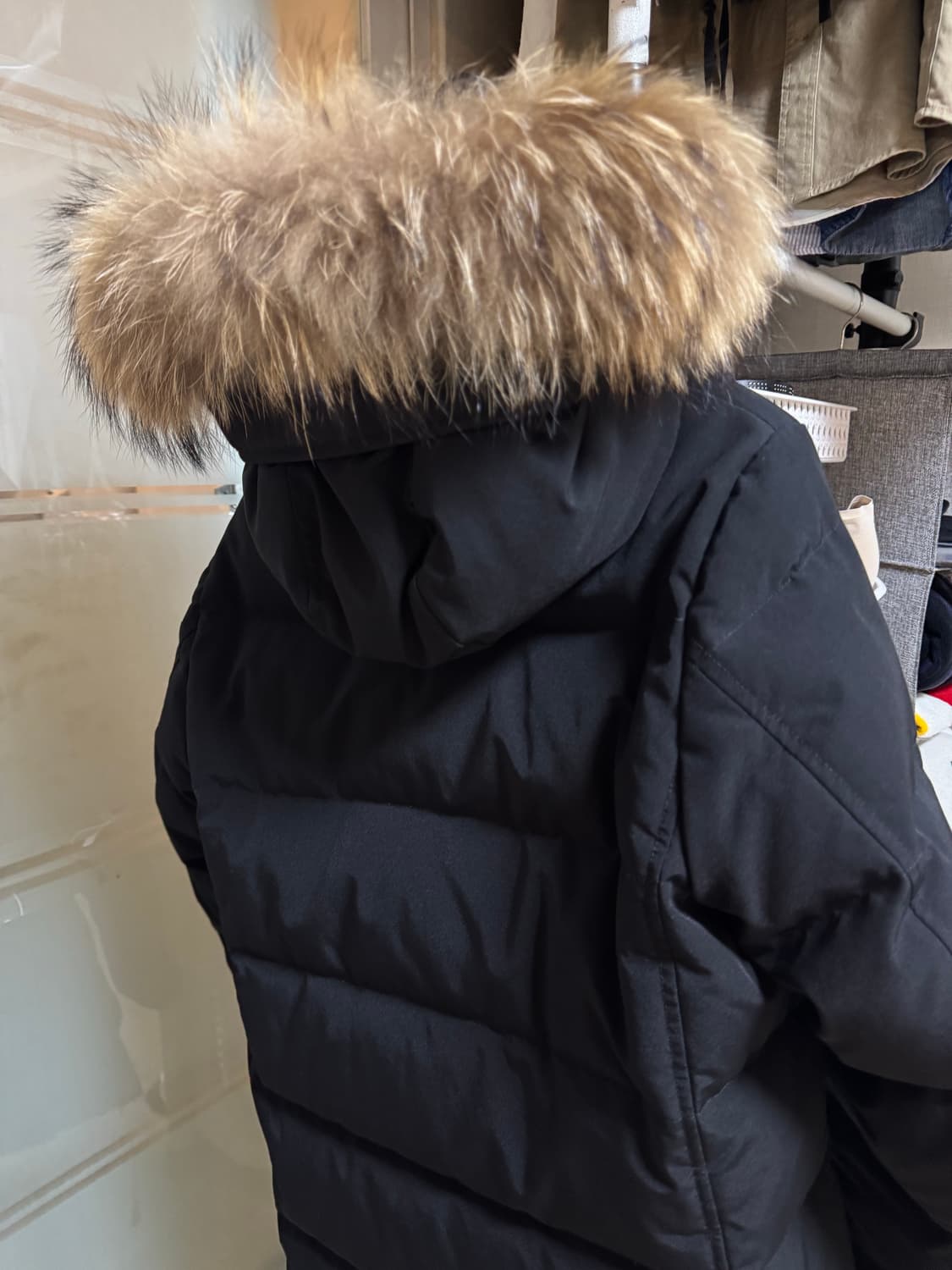 [M]DANTON 단톤 38 size 롱패딩 상품이미지4