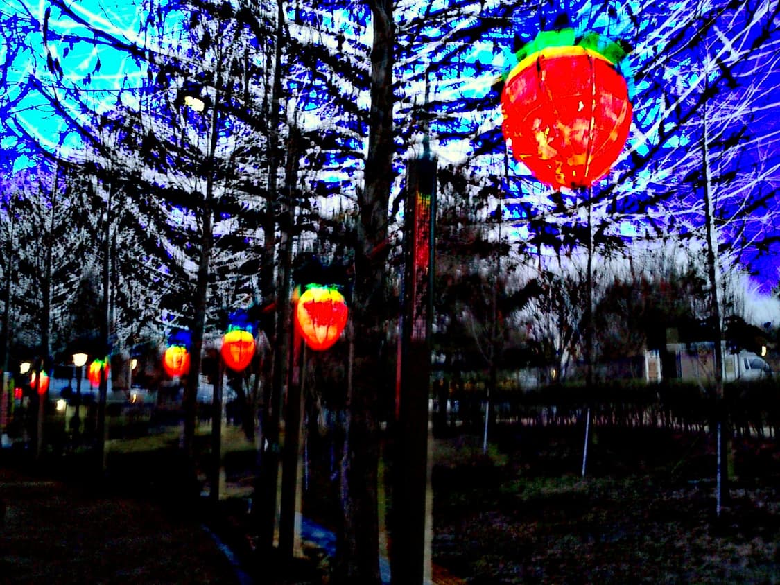 카시오엑슬림 EX-S2 디카 상품이미지10